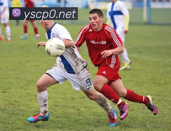 奖项证书